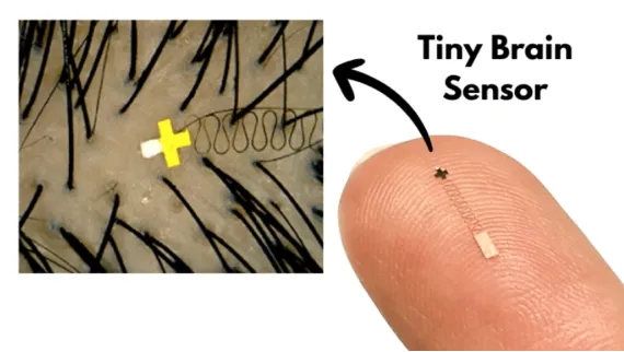 New Nanoscale Brain Sensor Fits Between Strands of Hair