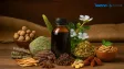 5 Ayurvedic Herbs and Spices That May Support Brain Health