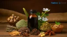 5 Ayurvedic Herbs and Spices That May Support Brain Health