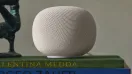 Google Home Data Bug Raises Questions About Smart Speaker Network Usage